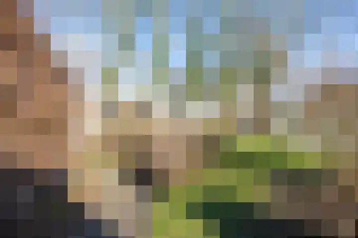Boermanjeweg 25 Usquert thumbnail 38