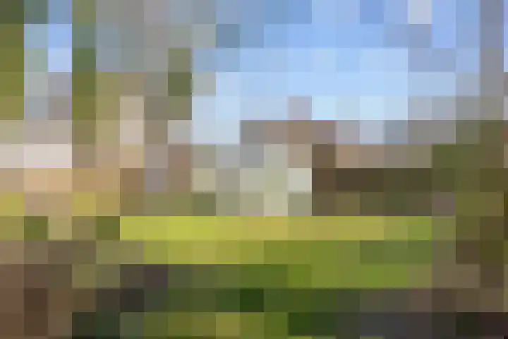 Boermanjeweg 25 Usquert thumbnail 39