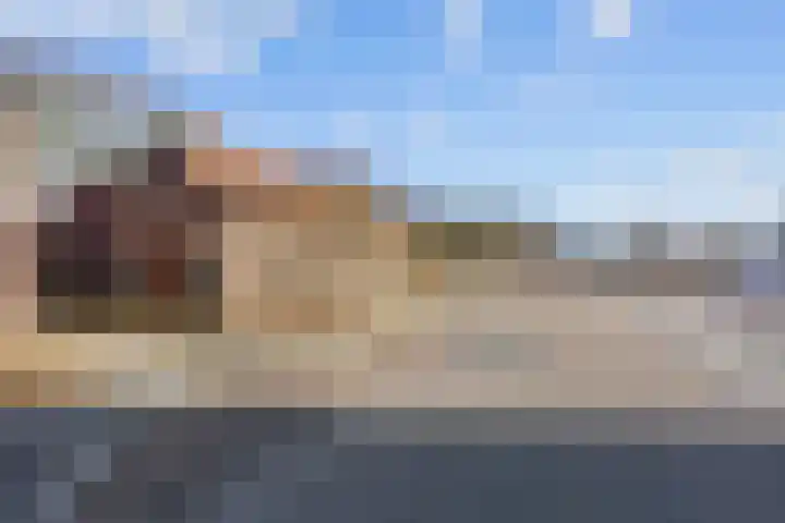 Boermanjeweg 25 Usquert thumbnail 4