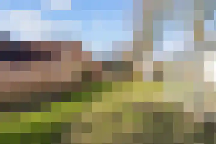 Boermanjeweg 25 Usquert thumbnail 40