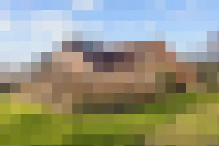 Boermanjeweg 25 Usquert thumbnail 41