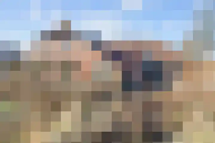 Boermanjeweg 25 Usquert thumbnail 42