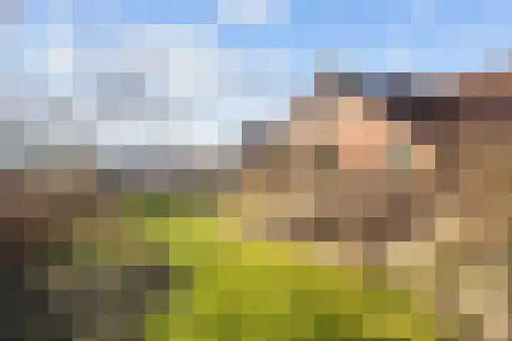 Boermanjeweg 25 Usquert thumbnail 43