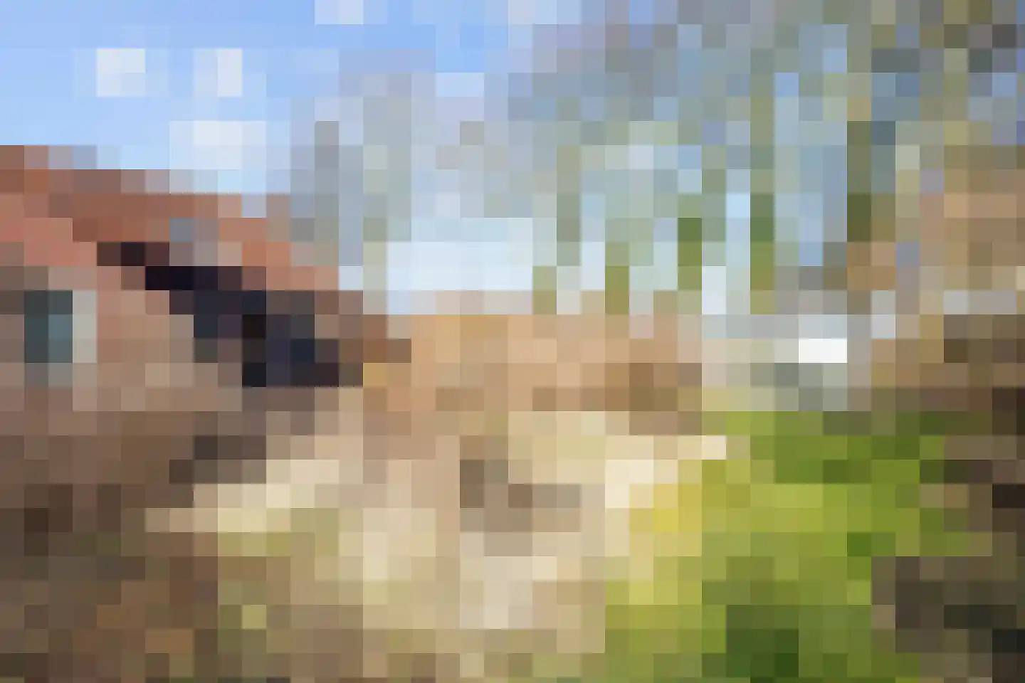 Boermanjeweg 25 Usquert thumbnail 45