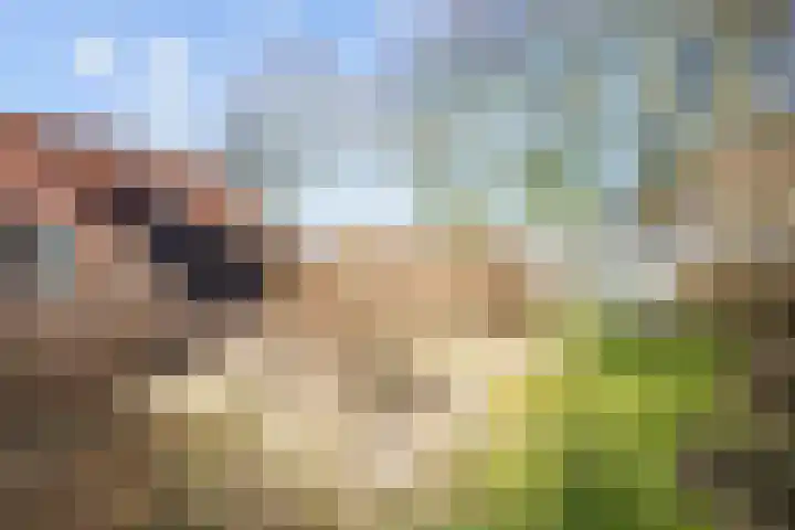 Boermanjeweg 25 Usquert thumbnail 45