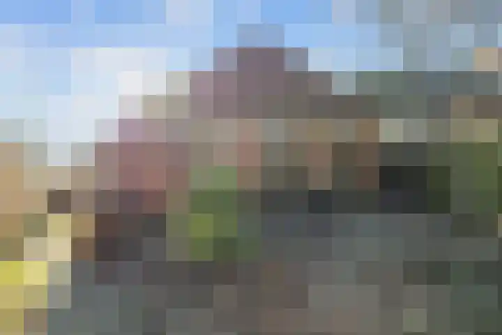 Boermanjeweg 25 Usquert thumbnail 47