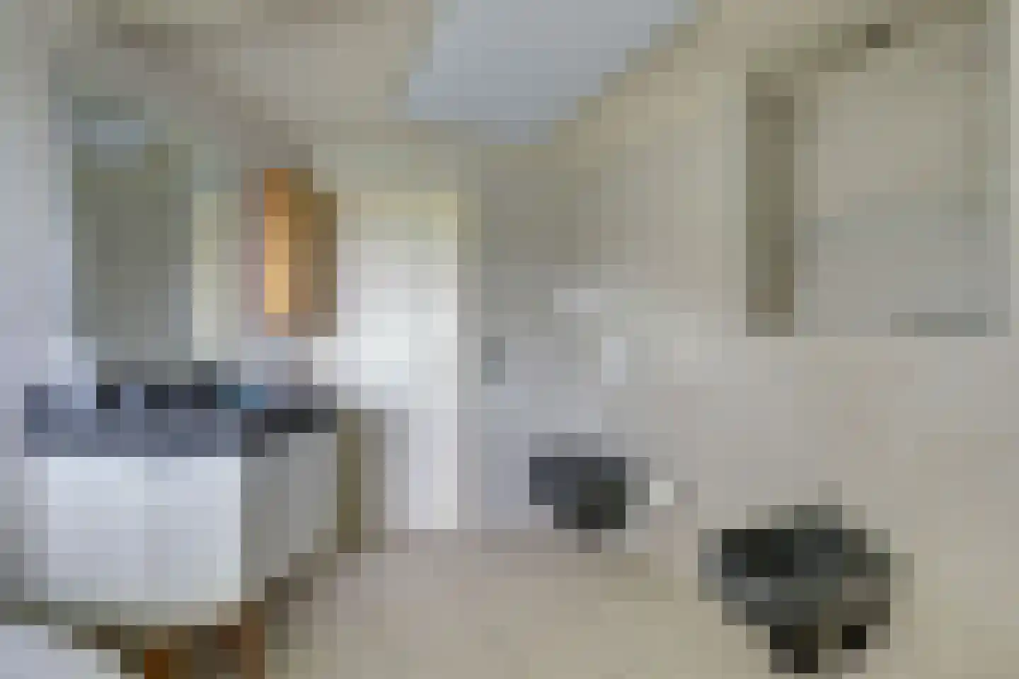 Boermansstraat 7 a Bergen L thumbnail 20