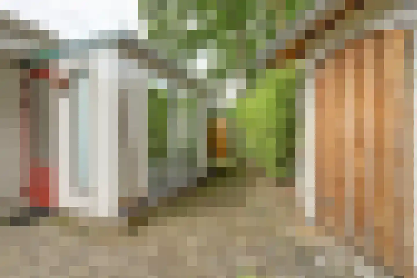 Boermansstraat 7 a Bergen L thumbnail 47