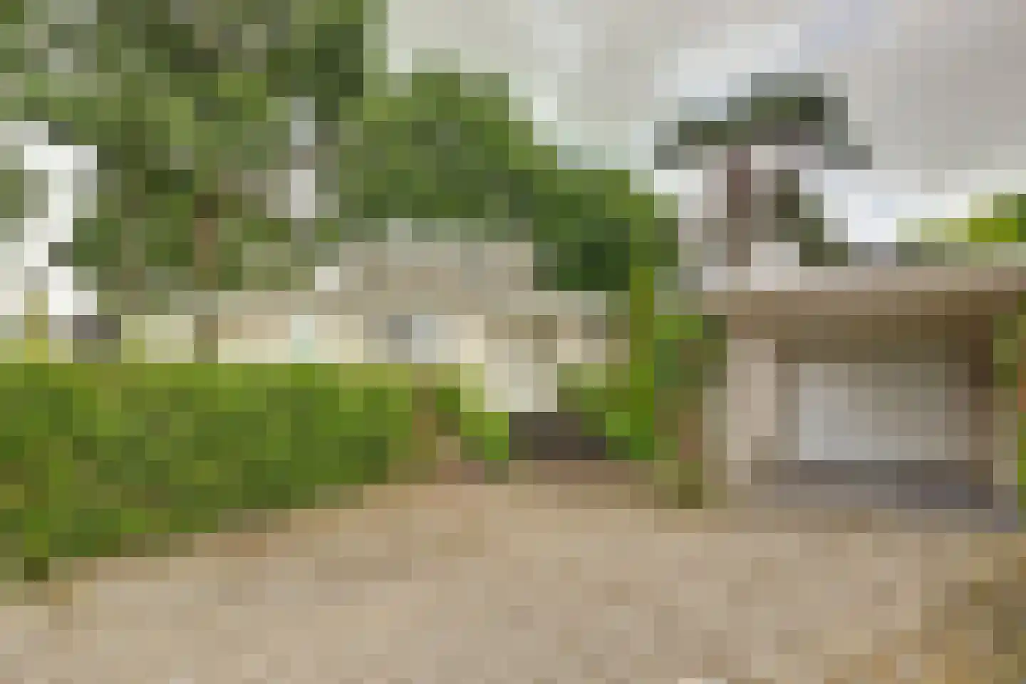 Boermansstraat 7 a Bergen L thumbnail 51
