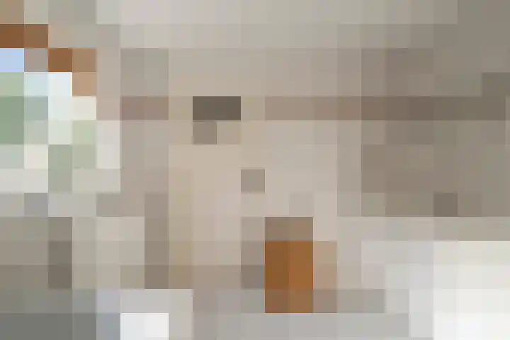 Boermansweg 24 Anna Paulowna thumbnail 21