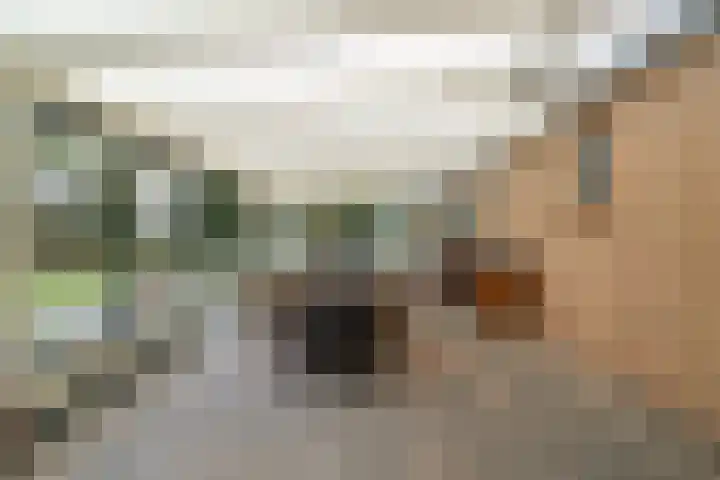 Boermansweg 24 Anna Paulowna thumbnail 22