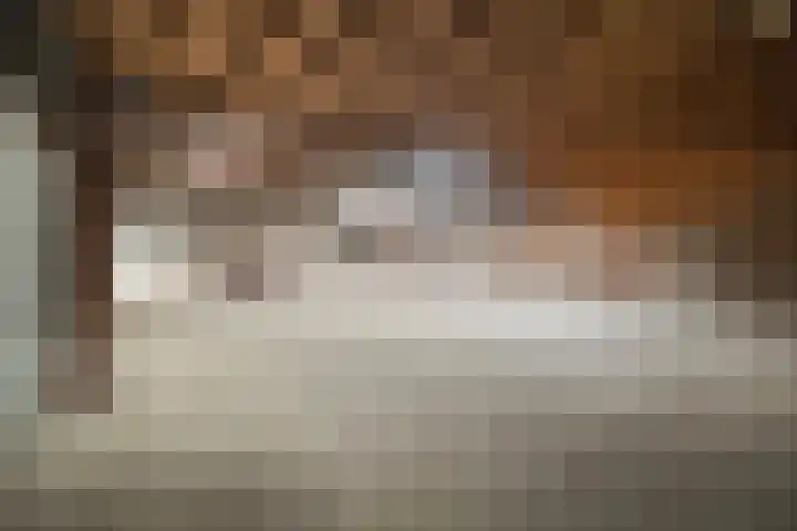 Boermansweg 24 Anna Paulowna thumbnail 37