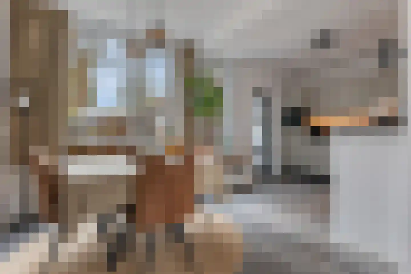 Boermarke 12 Vries thumbnail 12