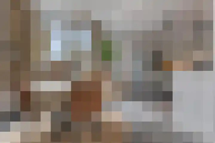 Boermarke 12 Vries thumbnail 12