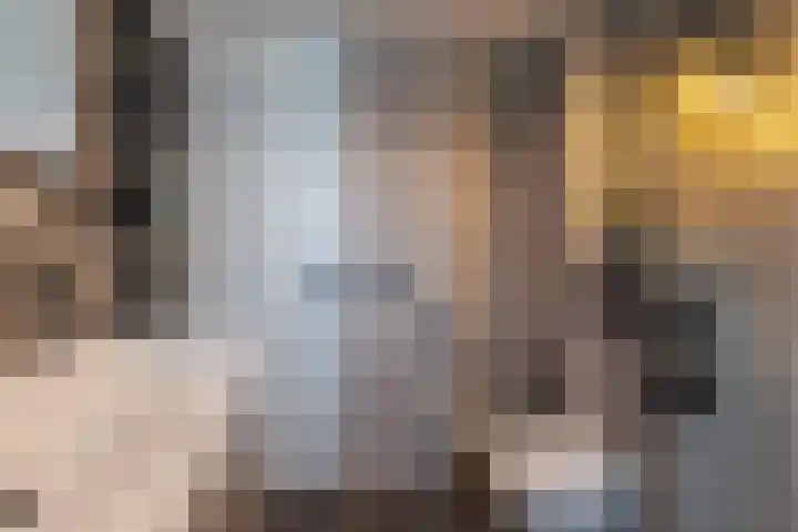 Boermarke 12 Vries thumbnail 19