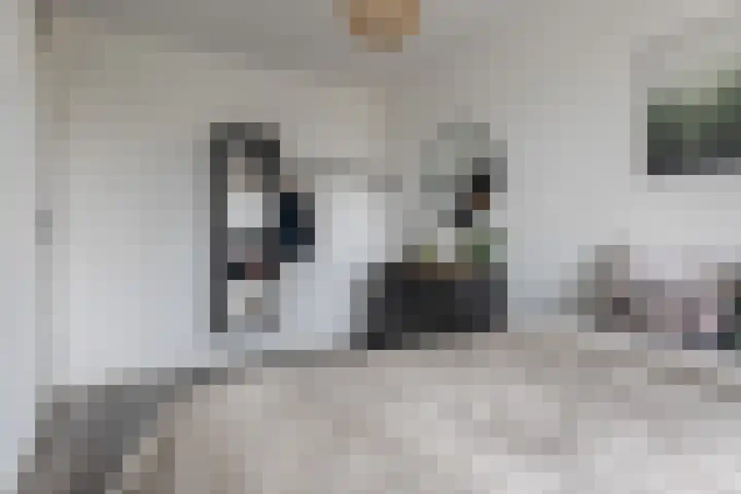 Boermarke 12 Vries thumbnail 21