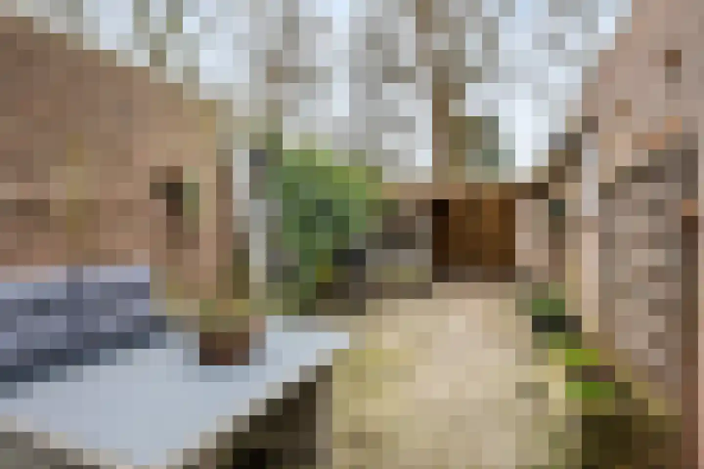 Boermarke 12 Vries thumbnail 29