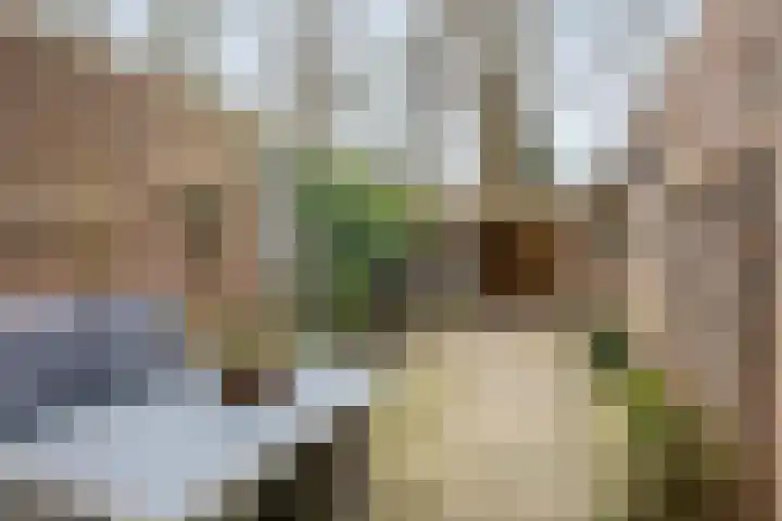 Boermarke 12 Vries thumbnail 29