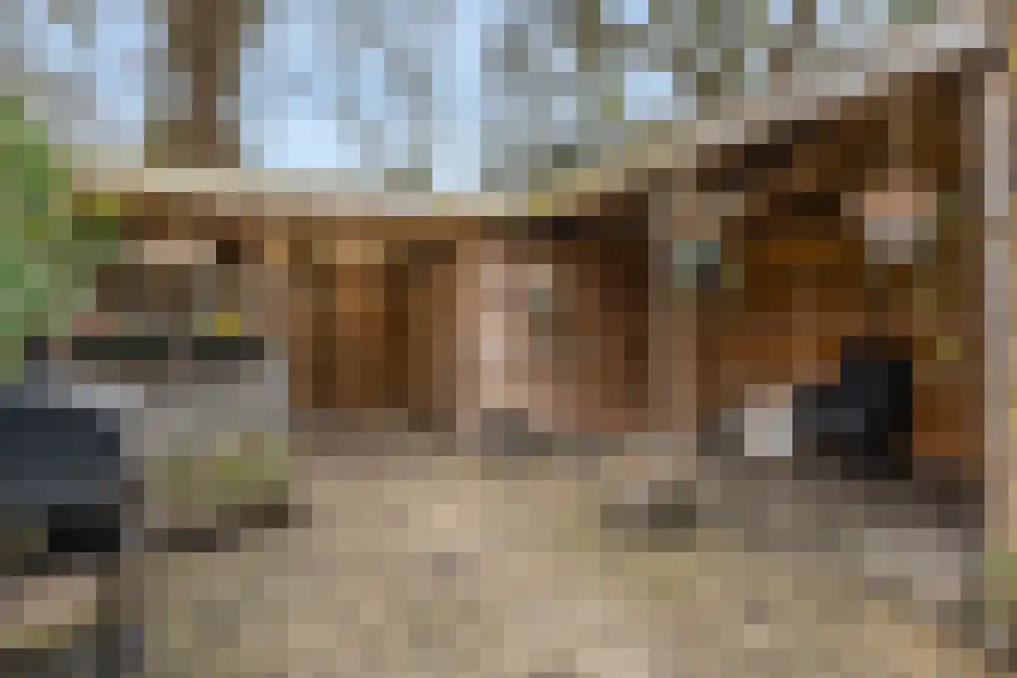 Boermarke 12 Vries thumbnail 30