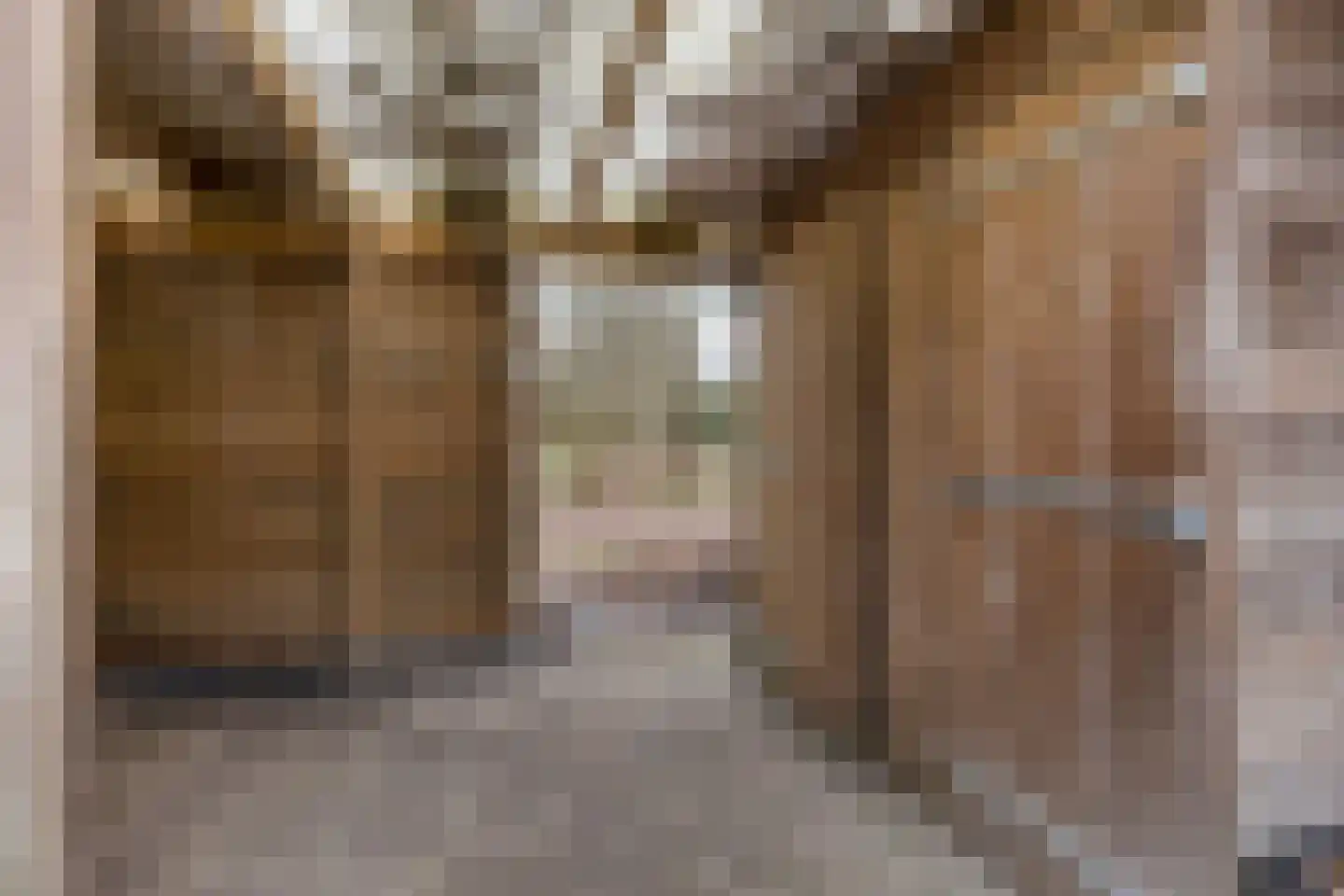 Boermarke 12 Vries thumbnail 32