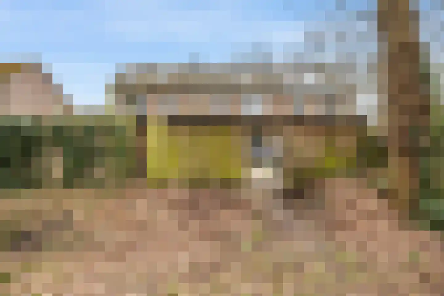 Boermarke 12 Vries thumbnail 33