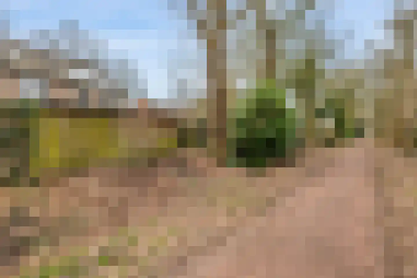 Boermarke 12 Vries thumbnail 34