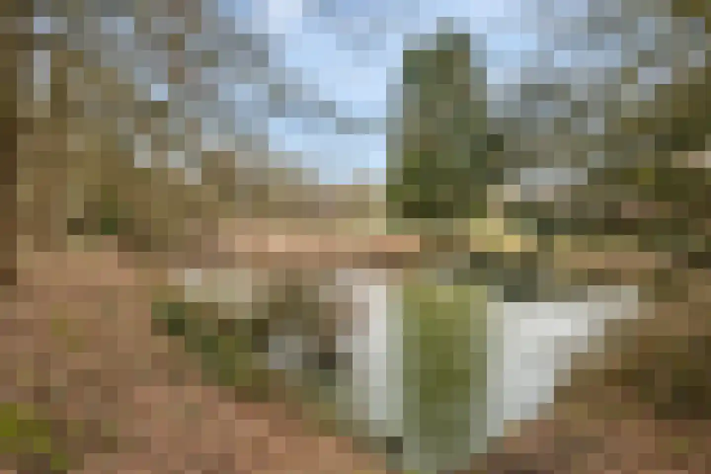 Boermarke 12 Vries thumbnail 35