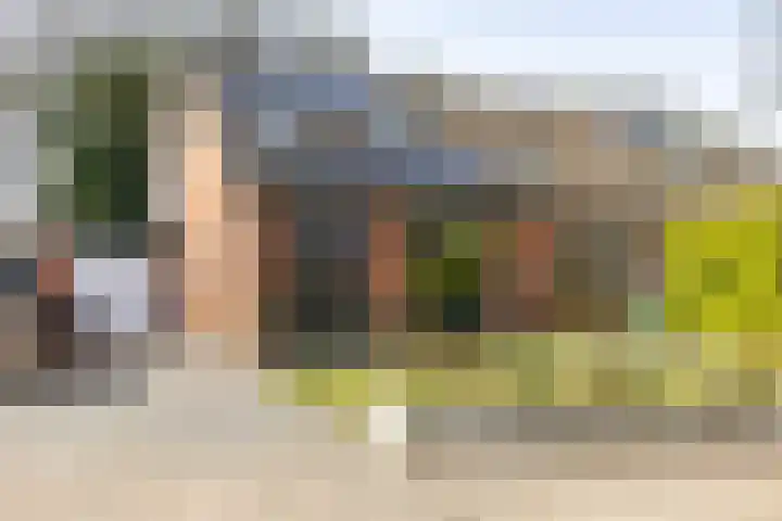 Boermarke 20 in Vries