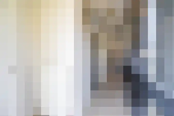 Boermarke 20 Vries thumbnail 10