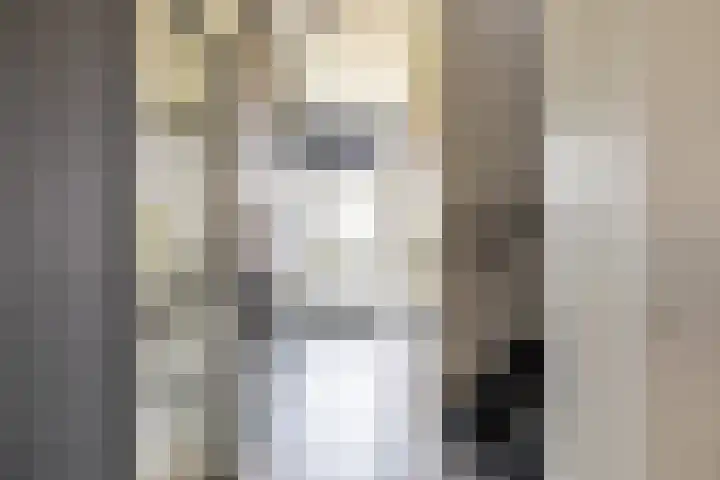 Boermarke 20 Vries thumbnail 11