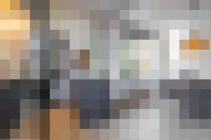 Boermarke 20 Vries thumbnail 14