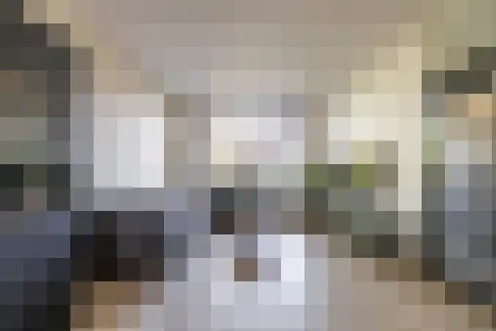 Boermarke 20 Vries thumbnail 17