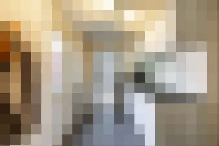 Boermarke 20 Vries thumbnail 24