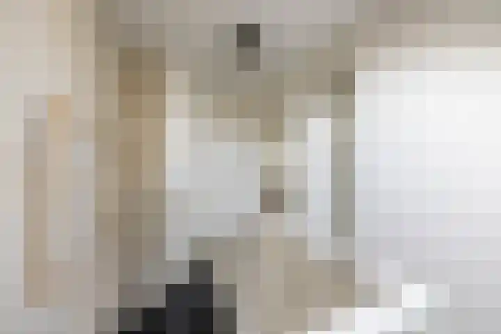 Boermarke 20 Vries thumbnail 26