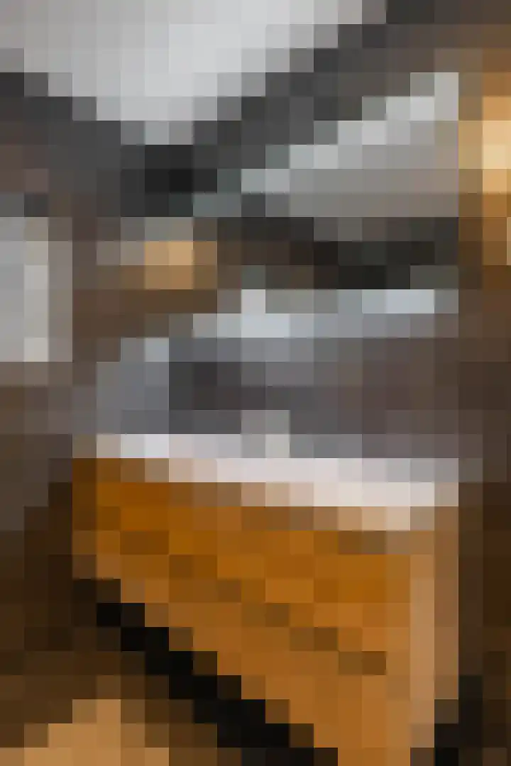 Boermarke 20 Vries thumbnail 28