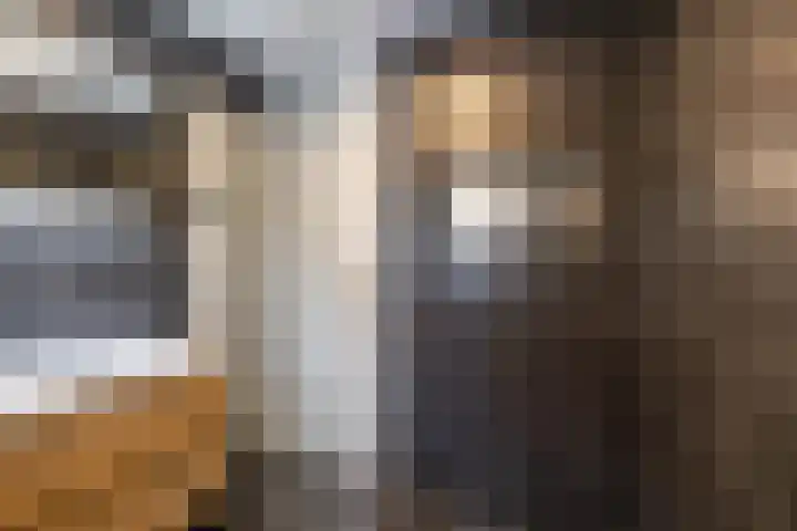 Boermarke 20 Vries thumbnail 30