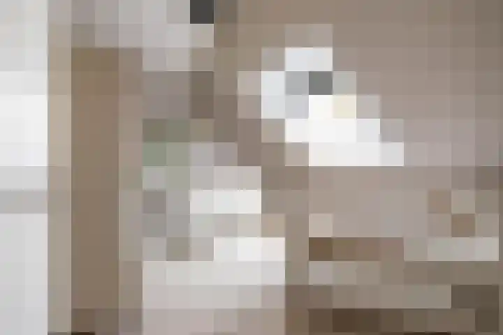 Boermarke 20 Vries thumbnail 32