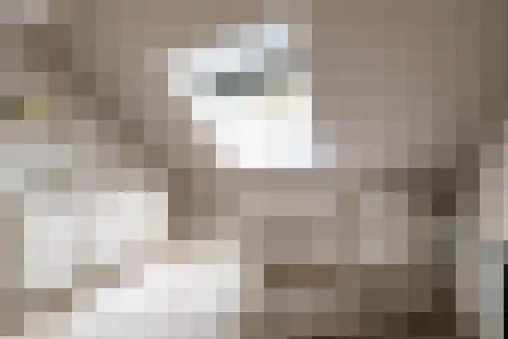 Boermarke 20 Vries thumbnail 33