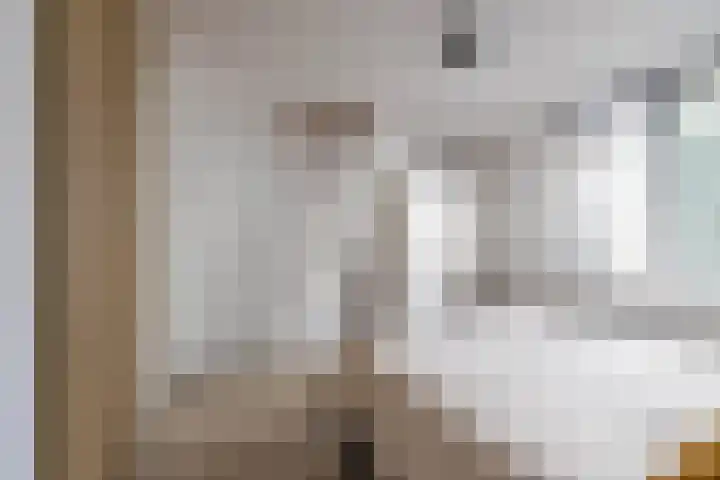 Boermarke 20 Vries thumbnail 35