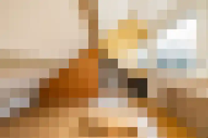 Boermarke 20 Vries thumbnail 36