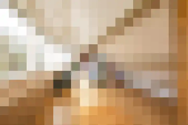 Boermarke 20 Vries thumbnail 37