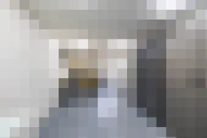 Boermarke 20 Vries thumbnail 40