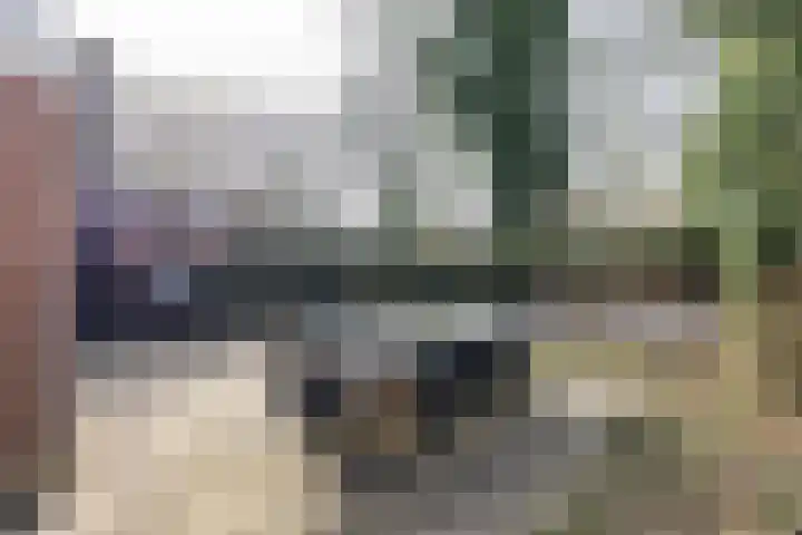 Boermarke 20 Vries thumbnail 41