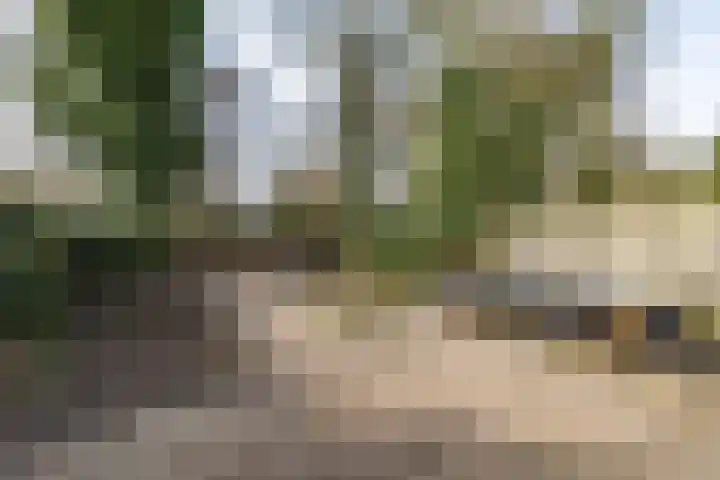 Boermarke 20 Vries thumbnail 42