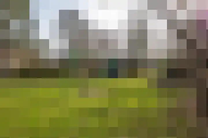 Boermarke 20 Vries thumbnail 46