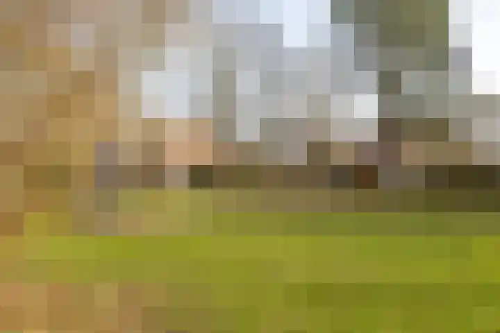 Boermarke 20 Vries thumbnail 47