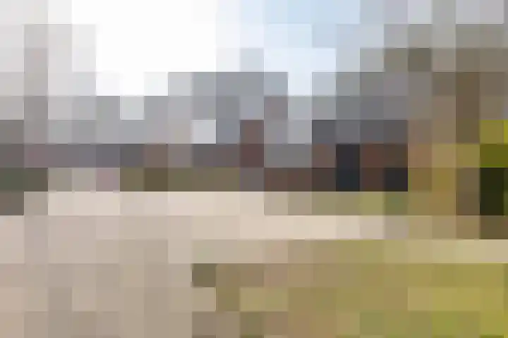 Boermarke 20 Vries thumbnail 6