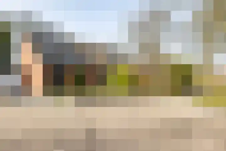 Boermarke 20 Vries thumbnail 7