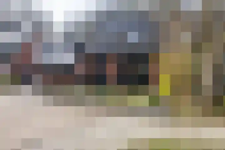 Boermarke 20 Vries thumbnail 8