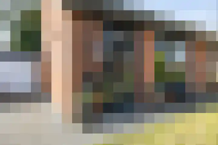 Boermarke 20 Vries thumbnail 9